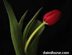 Tüm Bekarlar Okusun